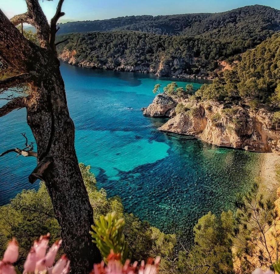 Logement Vue Mer Splendide - Situe A 50 Metres Du Bord De Mer Et 2 Minutes Des Plages - Bandolina Exterior foto